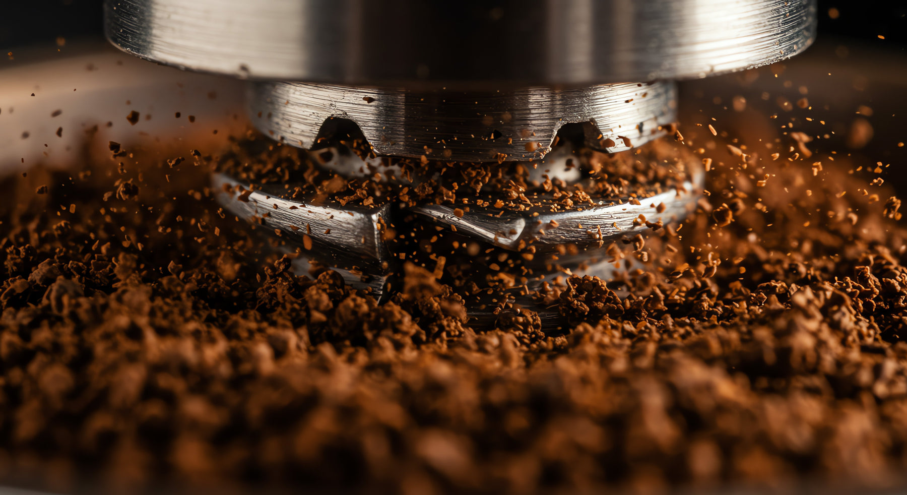 Budget Burr Coffee Grinders: Why Burr Beats Blade